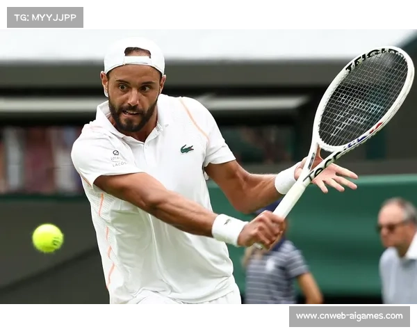 安迪·罗迪克:辛纳草地虽非最强,但仍是温网夺冠热门之一 安迪·罗迪克:辛纳草地虽非最强,但仍是温网夺冠热门之一